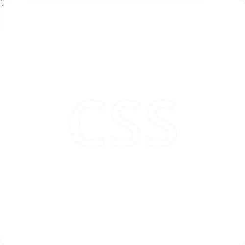 CSS